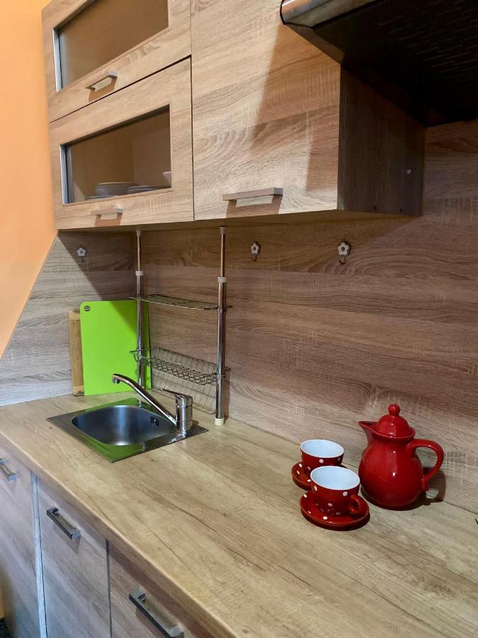 Thermal Apartments Teplice Bagian luar foto