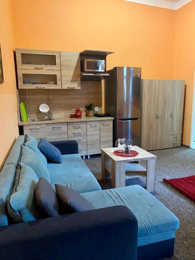 Thermal Apartments Teplice Bagian luar foto